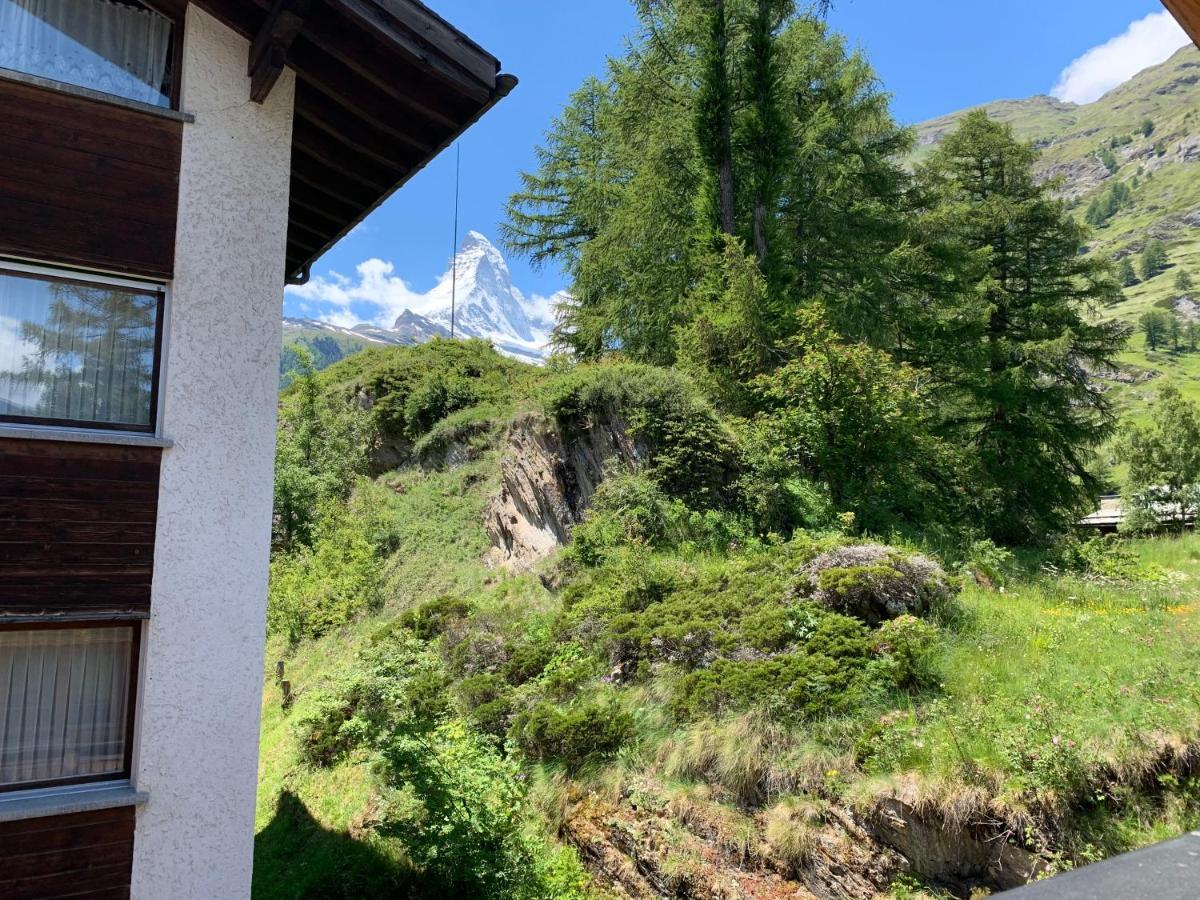 Appartements Zermatt Paradies Eksteriør bilde