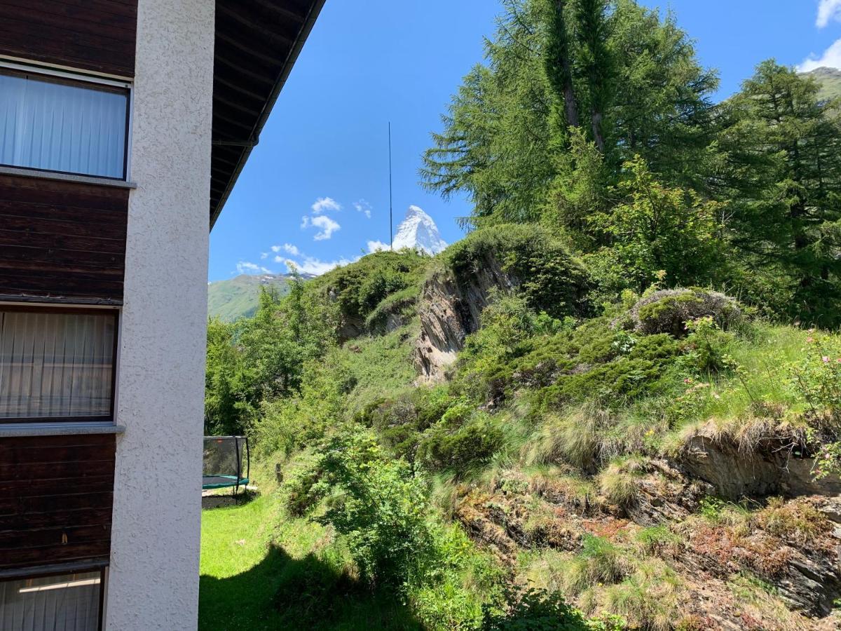 Appartements Zermatt Paradies Eksteriør bilde